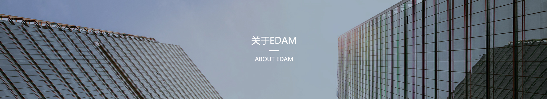 关于EDAM